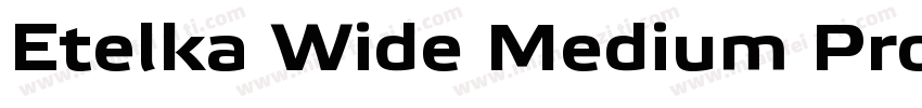 Etelka Wide Medium Pro Bold Italic字体转换